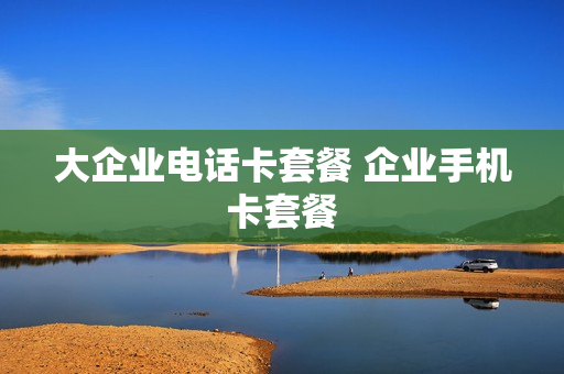 大企业电话卡套餐 企业手机卡套餐