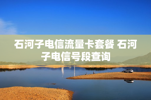 石河子电信流量卡套餐 石河子电信号段查询