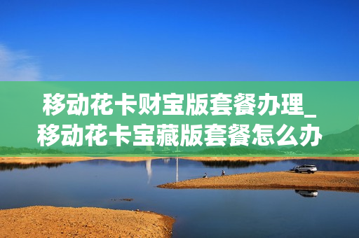 移动花卡财宝版套餐办理_移动花卡宝藏版套餐怎么办理