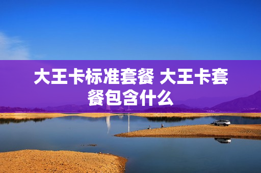 大王卡标准套餐 大王卡套餐包含什么