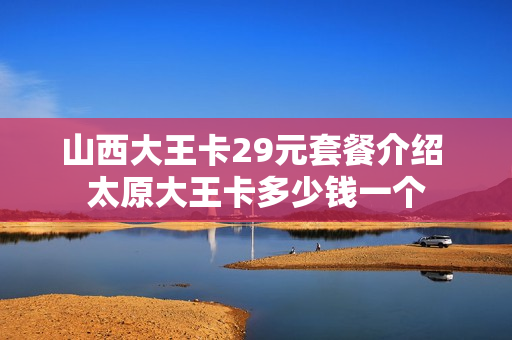 山西大王卡29元套餐介绍 太原大王卡多少钱一个