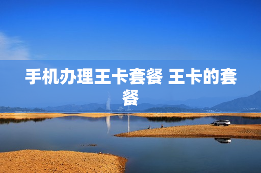 手机办理王卡套餐 王卡的套餐