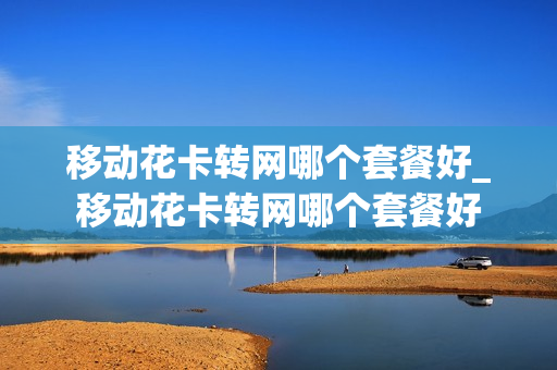 移动花卡转网哪个套餐好_移动花卡转网哪个套餐好