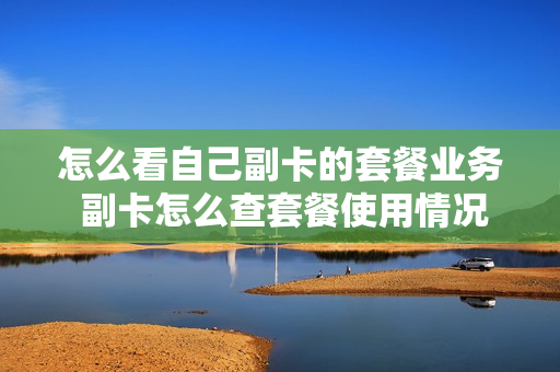 怎么看自己副卡的套餐业务 副卡怎么查套餐使用情况
