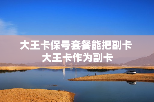 大王卡保号套餐能把副卡 大王卡作为副卡