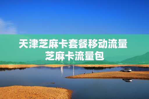 天津芝麻卡套餐移动流量 芝麻卡流量包