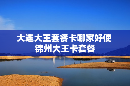 大连大王套餐卡哪家好使 锦州大王卡套餐