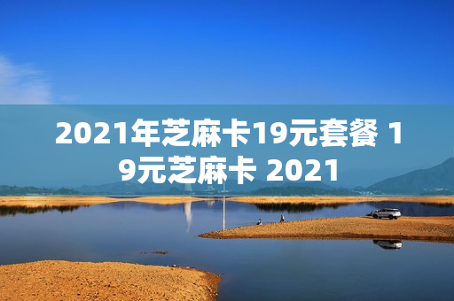 2021年芝麻卡19元套餐 19元芝麻卡 2021