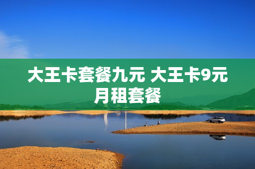 大王卡套餐九元 大王卡9元月租套餐