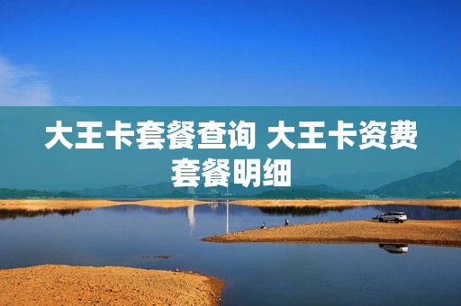 大王卡套餐查询 大王卡资费套餐明细