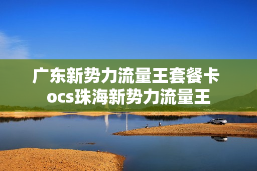广东新势力流量王套餐卡 ocs珠海新势力流量王