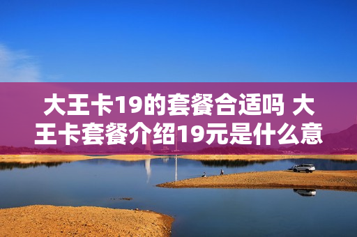 大王卡19的套餐合适吗 大王卡套餐介绍19元是什么意思