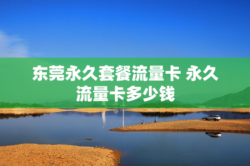 东莞永久套餐流量卡 永久流量卡多少钱
