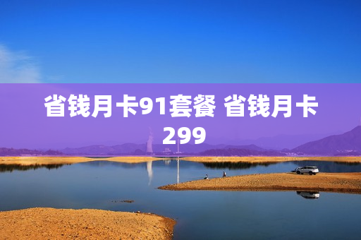 省钱月卡91套餐 省钱月卡 299