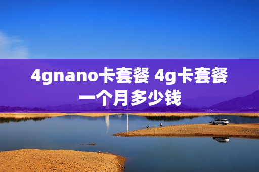 4gnano卡套餐 4g卡套餐一个月多少钱