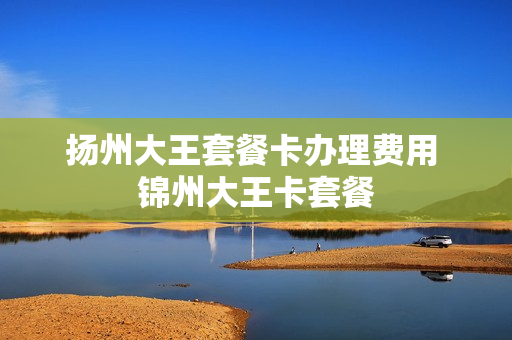 扬州大王套餐卡办理费用 锦州大王卡套餐