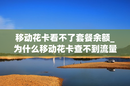 移动花卡看不了套餐余额_为什么移动花卡查不到流量