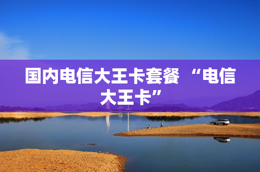 国内电信大王卡套餐 “电信大王卡”