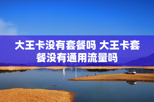 大王卡没有套餐吗 大王卡套餐没有通用流量吗