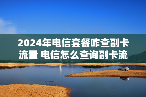 2024年电信套餐咋查副卡流量 电信怎么查询副卡流量使用记录