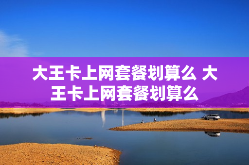 大王卡上网套餐划算么 大王卡上网套餐划算么