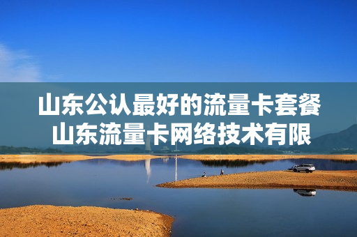 山东公认最好的流量卡套餐 山东流量卡网络技术有限公司
