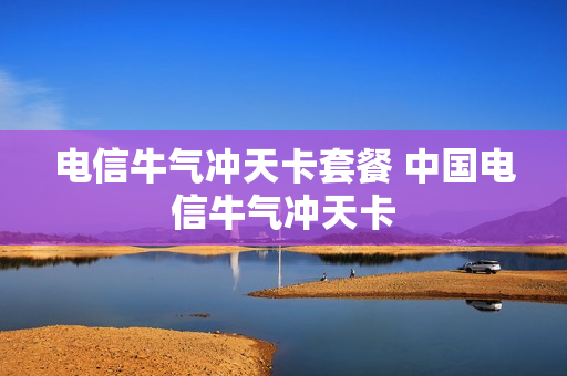 电信牛气冲天卡套餐 中国电信牛气冲天卡