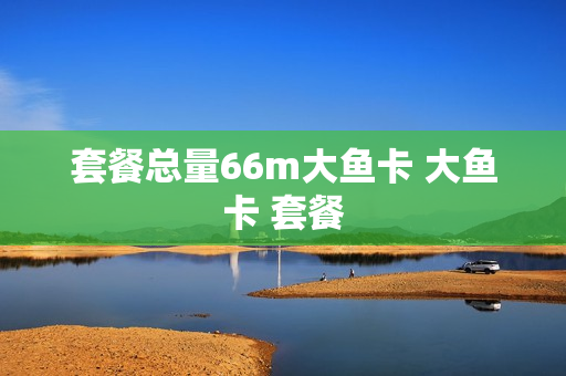 套餐总量66m大鱼卡 大鱼卡 套餐