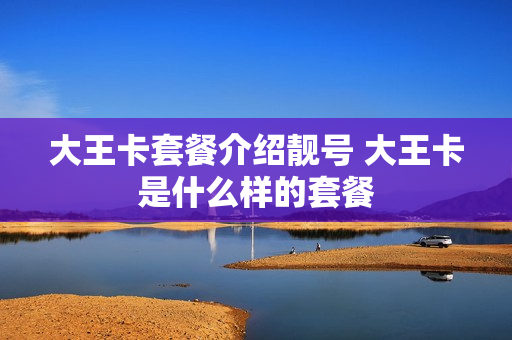 大王卡套餐介绍靓号 大王卡是什么样的套餐