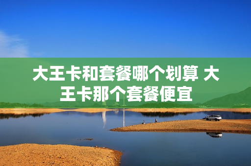 大王卡和套餐哪个划算 大王卡那个套餐便宜