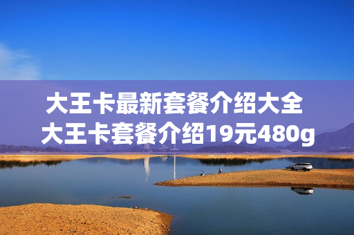 大王卡最新套餐介绍大全 大王卡套餐介绍19元480g
