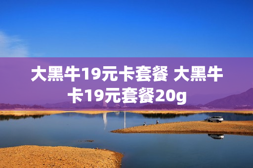 大黑牛19元卡套餐 大黑牛卡19元套餐20g