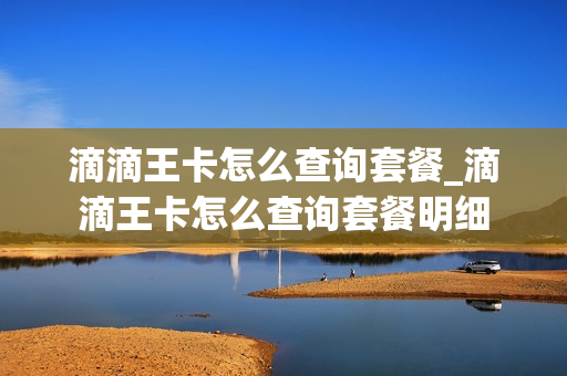 滴滴王卡怎么查询套餐_滴滴王卡怎么查询套餐明细