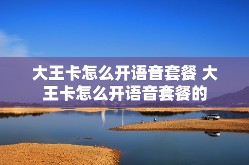 大王卡怎么开语音套餐 大王卡怎么开语音套餐的