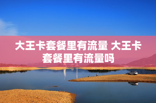 大王卡套餐里有流量 大王卡套餐里有流量吗
