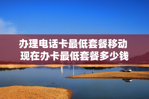 办理电话卡最低套餐移动 现在办卡最低套餐多少钱