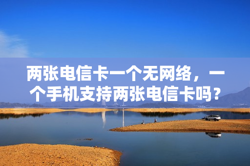 两张电信卡一个无网络，一个手机支持两张电信卡吗？