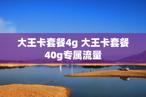 大王卡套餐4g 大王卡套餐40g专属流量