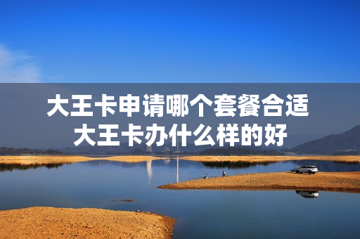 大王卡申请哪个套餐合适 大王卡办什么样的好