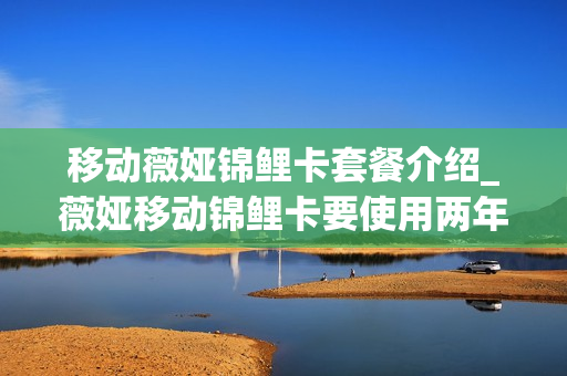 移动薇娅锦鲤卡套餐介绍_薇娅移动锦鲤卡要使用两年才能注销吗