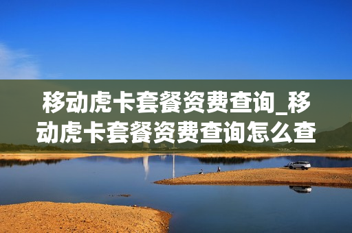 移动虎卡套餐资费查询_移动虎卡套餐资费查询怎么查