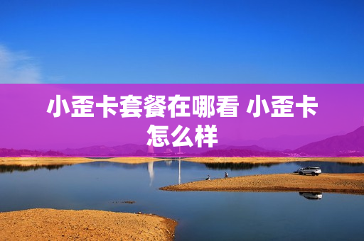 小歪卡套餐在哪看 小歪卡怎么样