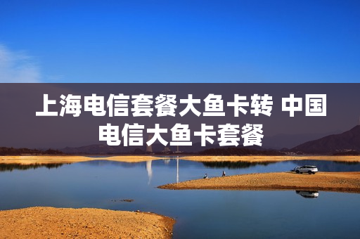 上海电信套餐大鱼卡转 中国电信大鱼卡套餐