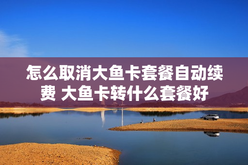怎么取消大鱼卡套餐自动续费 大鱼卡转什么套餐好