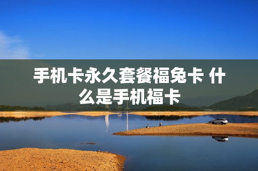 手机卡永久套餐福兔卡 什么是手机福卡