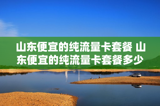 山东便宜的纯流量卡套餐 山东便宜的纯流量卡套餐多少钱