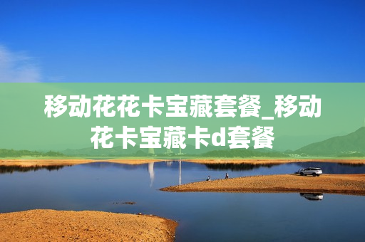 移动花花卡宝藏套餐_移动花卡宝藏卡d套餐