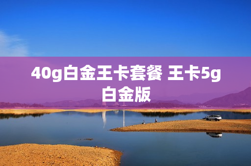 40g白金王卡套餐 王卡5g白金版