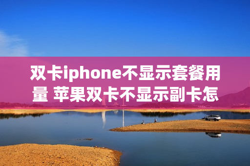 双卡iphone不显示套餐用量 苹果双卡不显示副卡怎么办