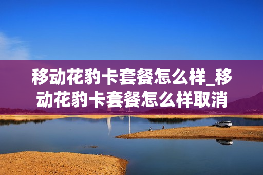 移动花豹卡套餐怎么样_移动花豹卡套餐怎么样取消